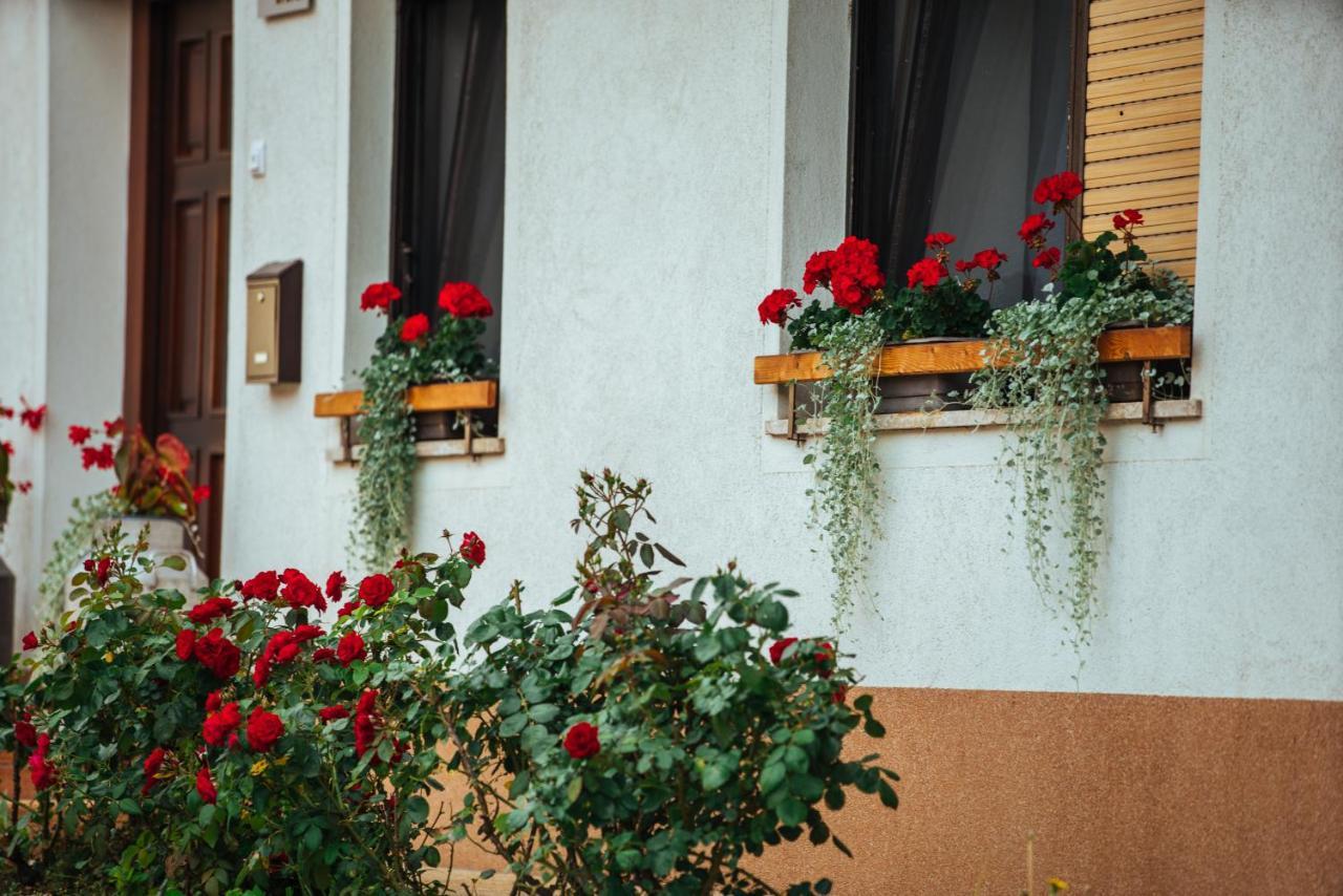 Stol Apartments Zirovnica Extérieur photo